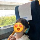 풍년회관 | [일상] 부산에서 전주 2박3일 여행(feat.풍년제과)