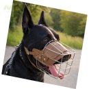 미나애견 이미지