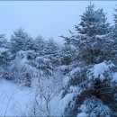 삼가-21 이미지