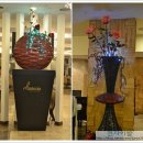 에비슈라 이미지