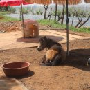 유천농장 이미지