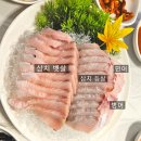 P-7114 | [여수여행] 여수맛집 희망선어 내돈내산 솔직후기(선어회가 처음인 사람...)