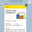 대륙전자 | 대륙의 칭다오 자유여행기 1.
