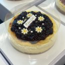 디저트 아카데미(쿠키) | 경산제과제빵학원 후기｜디저트 플래너 수업으로 반죽 기초부터 제대로 배워봤어요