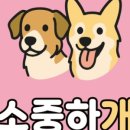 누구보다 소중하개 이미지