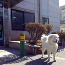 옥구지구대 이미지