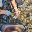 스테이 델라마레 이미지