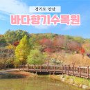 안산시 장애인 이동기기 수리센터 | ① 2024. 11. 10 - 뚜벅이 여행 / 혼자여행 / 안산시티투어 / 바다향기수목원 / 대부도 수목원 / 탄도...