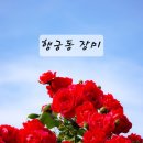 수원시 팔달구 창룡대로104번길 이미지