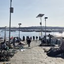비밀의 사원 | 이집트 아스완 필레사원 자유여행 후기: 흥정의 기술, 무료 UFC, 그리고 사원의 매력