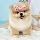 슈멍드아 이미지