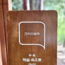 생각나무숲작은도서관 티스토리