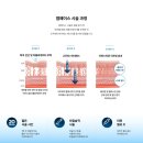 비티엘메디컬테크놀로지코리아 유한회사 | 나이 들어 보이는 얼굴, 피부가 아닌 안면근육 변화일 수 있습니다 – 엠페이스 리프팅의 원리