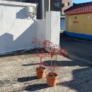 상주장 호스텔 이미지