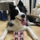 스튜디오블라블라