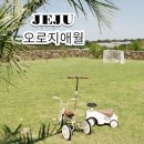 오로지애월 이미지