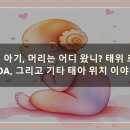 로아(LOA) 이미지