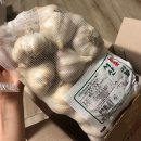 서산태안6쪽마늘조합 공동사업법인 이미지