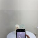 오슬랑커피신당점