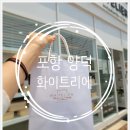 포항 양덕동 화이트리에 식빵 전문점 방문 후기