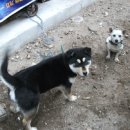 한빛농장 이미지