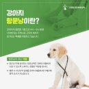 괴산동물병원 이미지