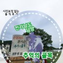 전라남도 담양 여행/ 볼거리 놀거리 부모님, 연인 데이트로 좋다! 추억의 골목