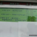 돌산유람선선착장 이미지