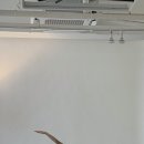 소도구 필라테스-주간 이미지