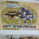 연화농장 이미지