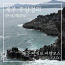 주상절리 관광안내소 | 제주 주상절리 여행 후기 | 파도와 현무암이 만든 서귀포 필수 여행코스