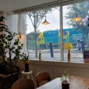 티하우스오드리(여월점) 이미지