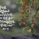 시온기독교 이미지
