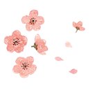 브이아이피(VIP) 이미지