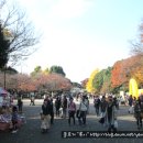 우에노공원(上野公園) 이미지