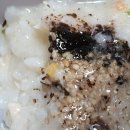 본죽&비빔밥시지점