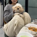 조은고기 백화점 | 3월일상 🍀