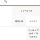 디딤돌의전
