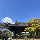 남원 여행 후기 [남원예촌by켄싱턴/광한루원/빈타이 남원점/명문제과/두레식당]