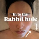 해운대 다이어트 추천 인투더 래빗홀 온다케어 솔직후기