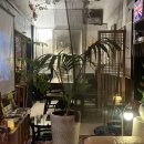 옴싸우스 이미지