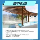 휘닉스 빌 | 휘닉스파크 평창 올데이 프리미엄 패스 vs 렌탈샵 리프트권 비교 크리스마스 여행계획