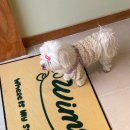 윔스(WIMS) 이미지