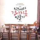 강아지 옷 만들기 이미지