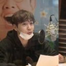 치타 이미지