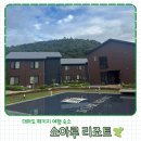 청아온천 | 대마도 패키지 여행 숙소 소아루리조트 숙소 온천 후기