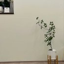헤이븐필라테스