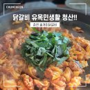 [춘천 맛집] 춘천 닭갈비 현지인 맛집 솔개미닭갈비 N차방문 후기