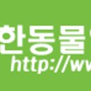 메디팜조아약국 이미지