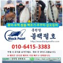 고피싱블랙펄